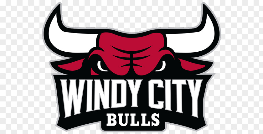 Nba Sears Centre Arena Windy City Bulls NBA Development League Chicago Canton Charge PNG