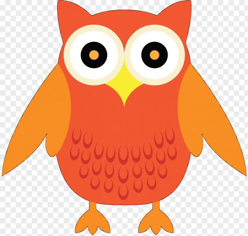 Owl Clip Art Beak Orange S.A. PNG