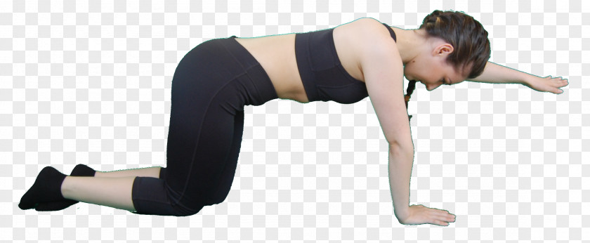 Pilates Core Stability Hip Exercise PNG