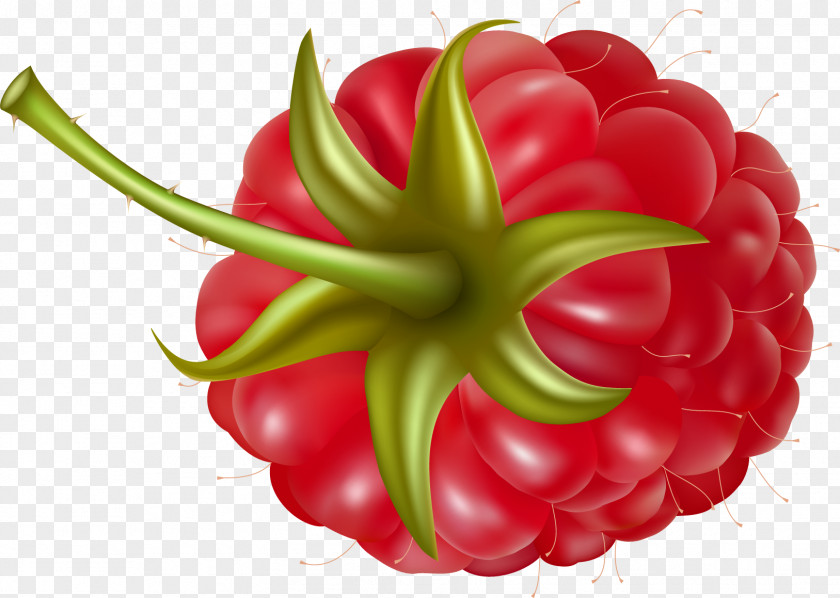 Rraspberry Image Strawberry Raspberry Fruit Clip Art PNG