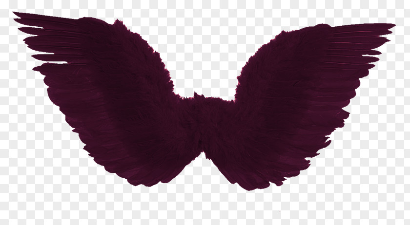 Xq Costume Party Disguise Halloween Feather PNG