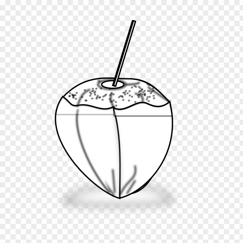 Coconut Black And White Drawing Clip Art PNG