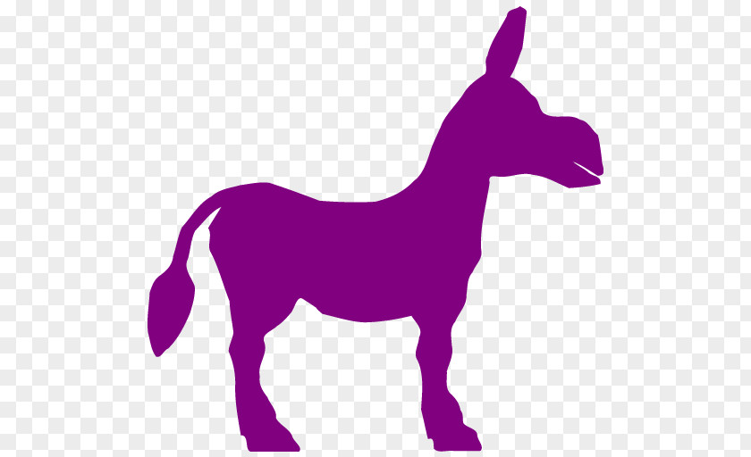 Donkey Mule Drawing Clip Art PNG