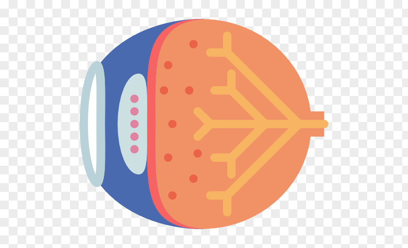 Heart Ophthalmology Medicine Eye Hospital PNG