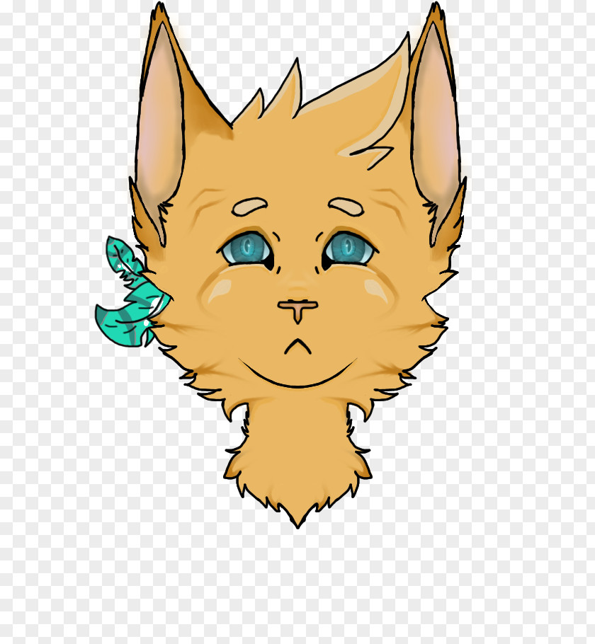 Kitten Whiskers Red Fox Snout PNG