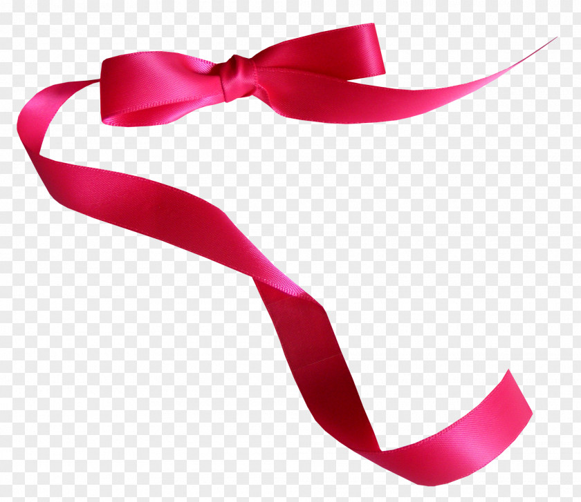 Ribbon Shoelace Knot Designer PNG