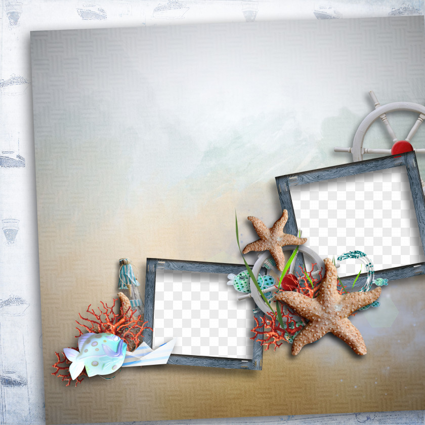 Starfish Frame Picture Paper PNG