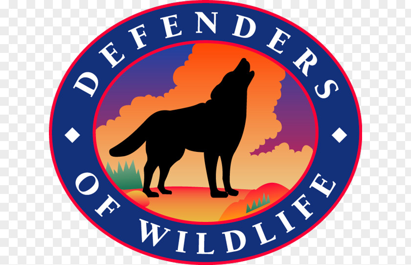 United States Defenders Of Wildlife Conservation Sea Otter PNG