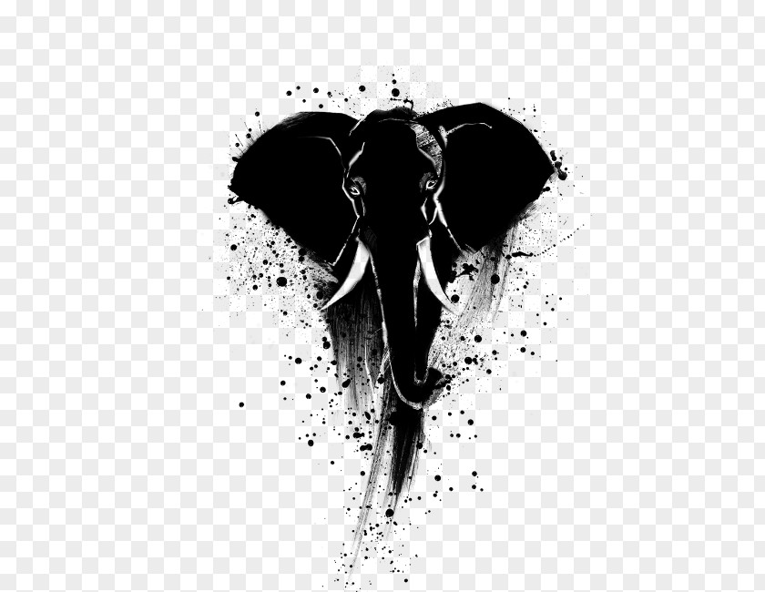 African Elephant Douchegordijn Indian Desktop Wallpaper Elephantidae PNG