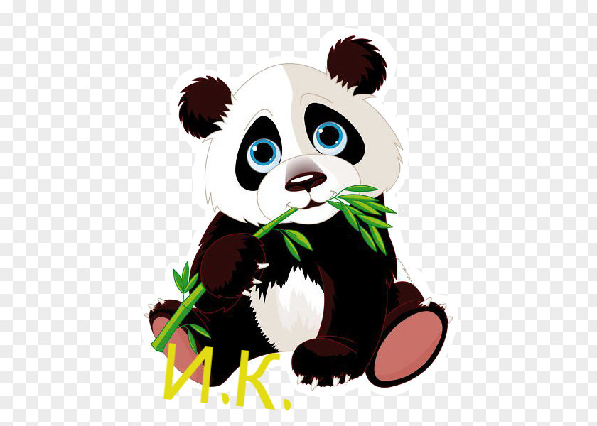 Bear Giant Panda Red Drawing Clip Art PNG