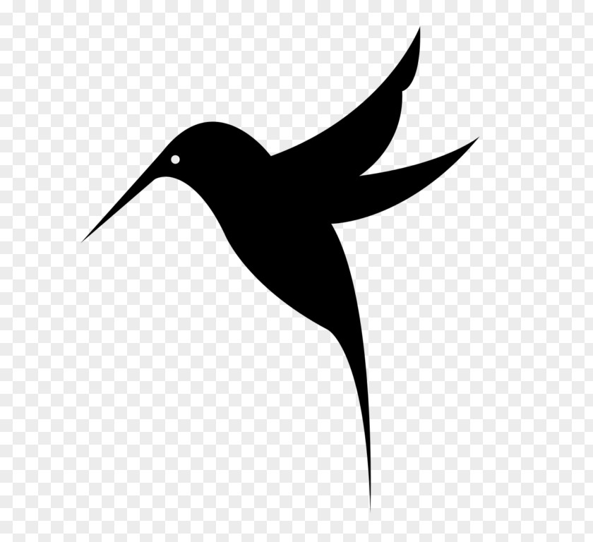 Bird Black-chinned Hummingbird Clip Art PNG