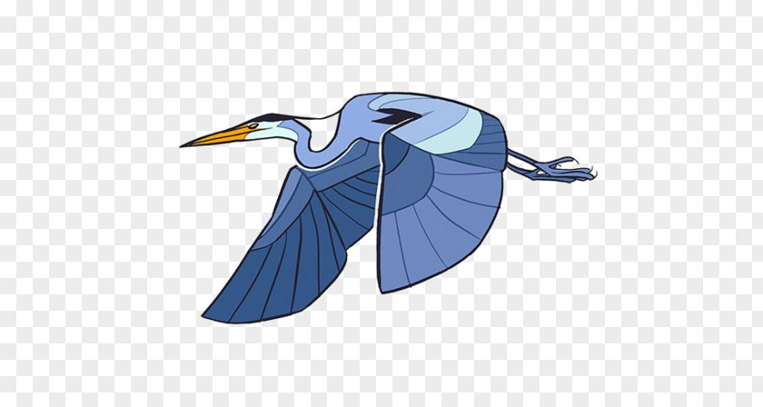 Bird Heron Drawing Birds PNG