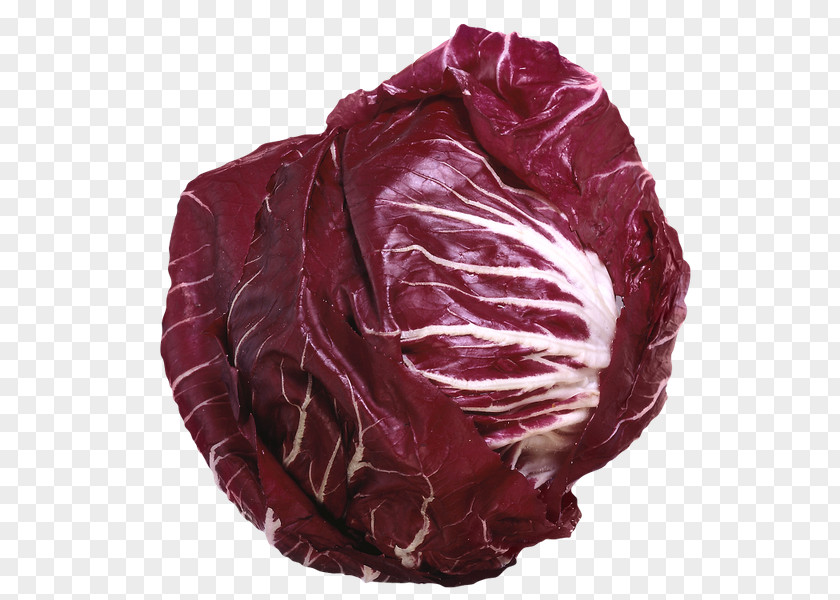 Cabbage Red Lettuce Vegetable Kale PNG