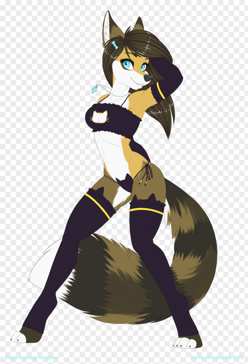 Cat Illustration Furry Fandom Cartoon Costume PNG