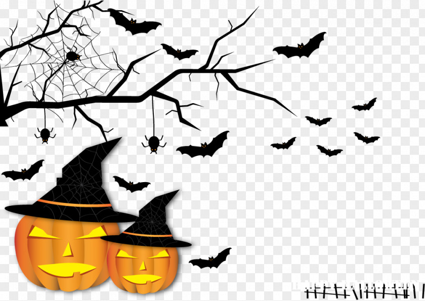 Halloween Pumpkin Bat Clip Art PNG