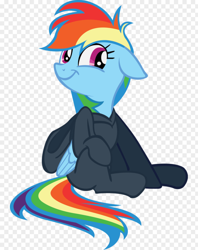 My Little Pony Rainbow Dash Rarity Pinkie Pie PNG