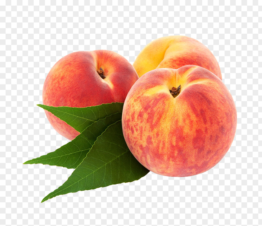 Peach Nectarine Apricot Sweet Cherry Plum Fruit PNG