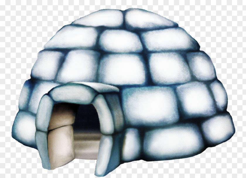 Tortoise Turtle Chelonoidis Reptile Igloo PNG