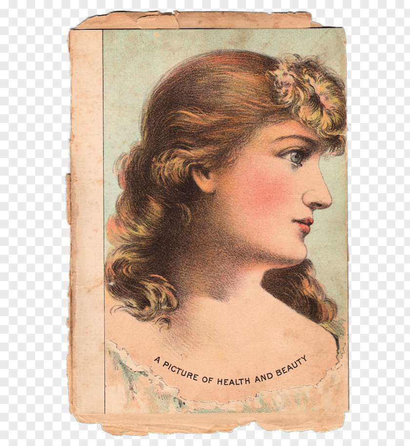 Woman Victorian Era 19th Century Beauty Graphics PNG