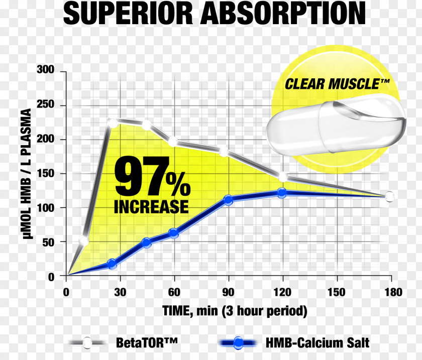 Bodybuilders Dietary Supplement MuscleTech Beta-Hydroxy Beta-methylbutyric Acid Koider Supplements, Food Supplies Sports PNG