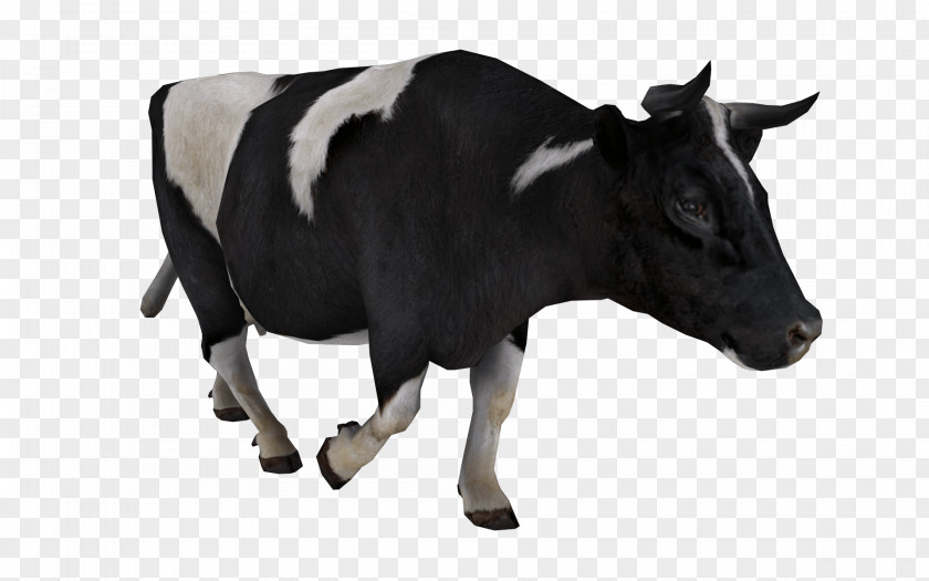 Cow Image Cattle Computer File PNG