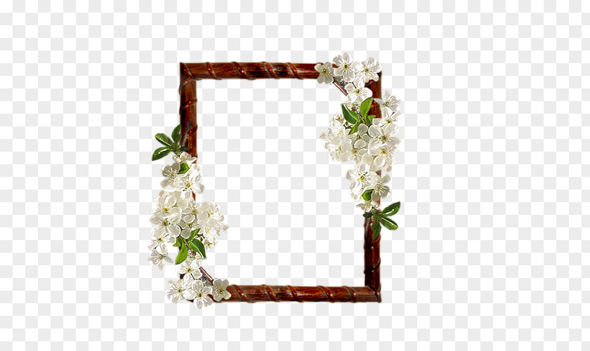Flower Floral Design Picture Frames Cut Flowers Bouquet PNG