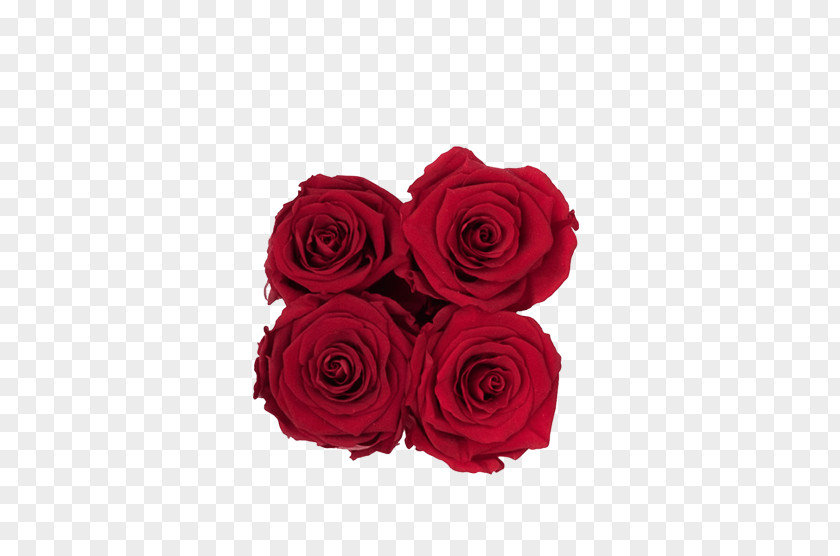 Flower Garden Roses Red Box Cut Flowers PNG