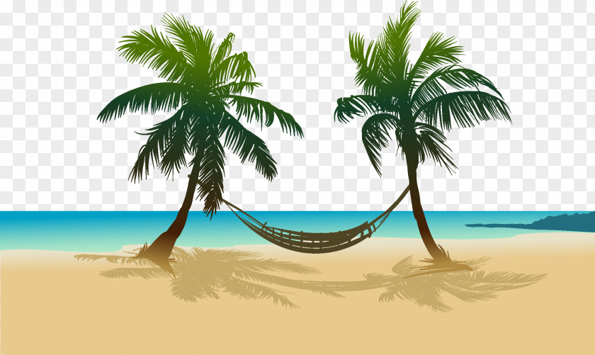 Sandy Beach Arecaceae Drawing Sea PNG