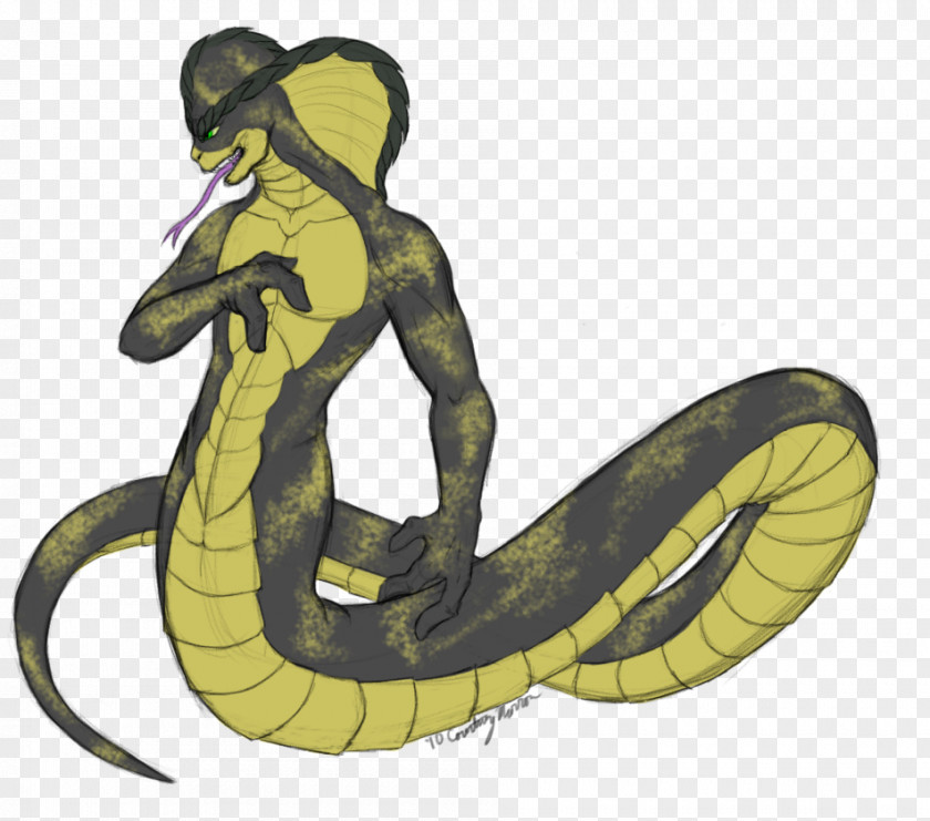 Anaconda Snake Vipers Reptile King Cobra PNG