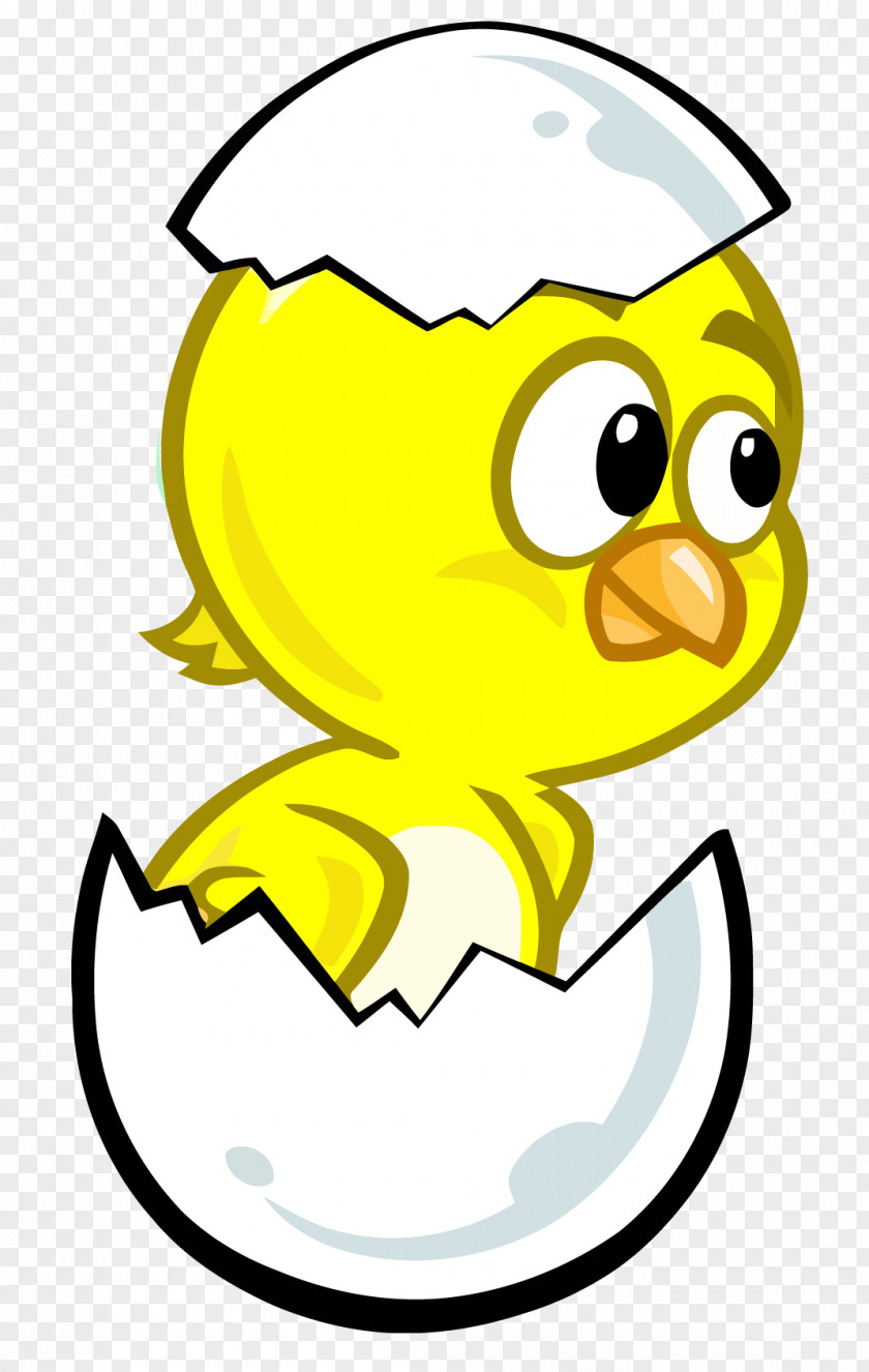 Chicken Clip Art Pintinho Amarelinho Galinha Pintadinha Egg PNG