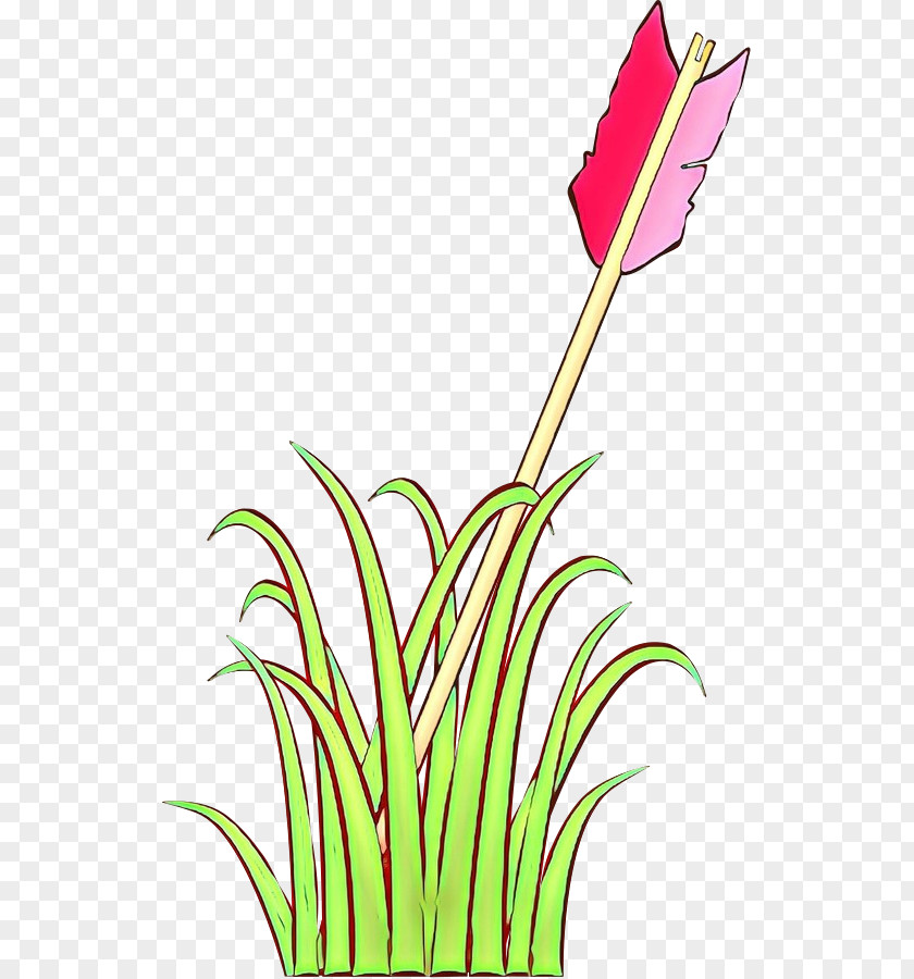 Grass Family Plant Clip Art Flower PNG