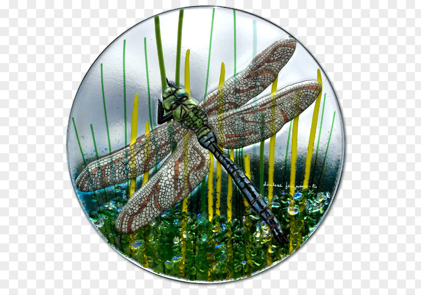 Hand Painted Fused Glass Insect Dragonfly Kiln PNG
