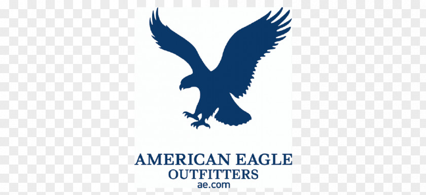 T-shirt American Eagle Outfitters Clothing Accessories Retail PNG
