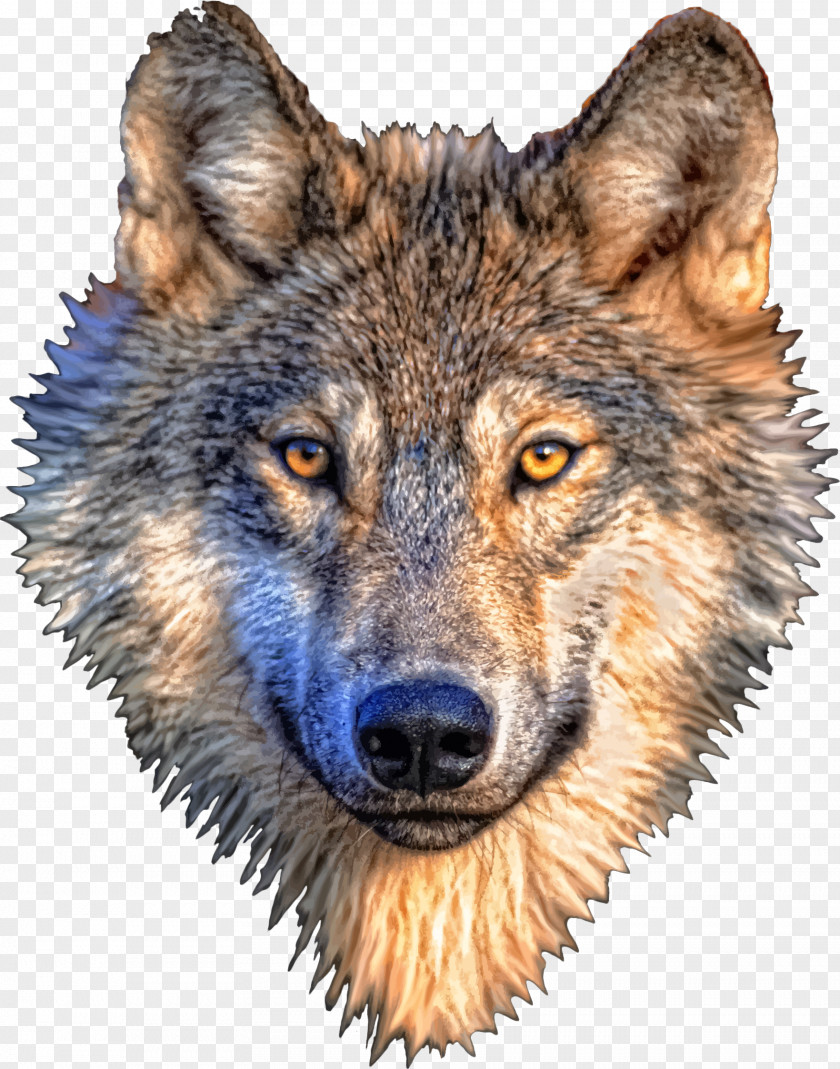 Wolf Gray T-shirt PNG