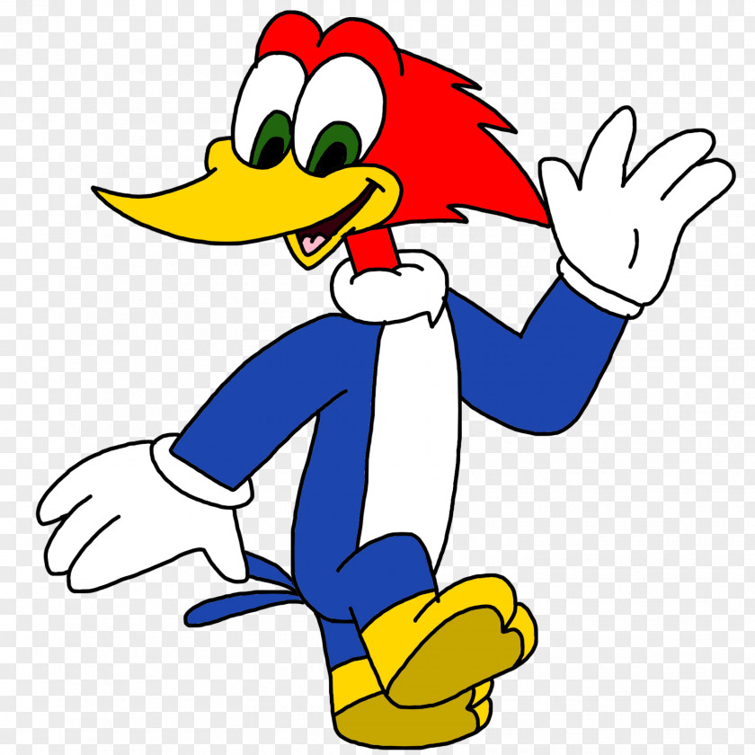 Woody Woodpecker Cartoon Drawing Universal Pictures PNG