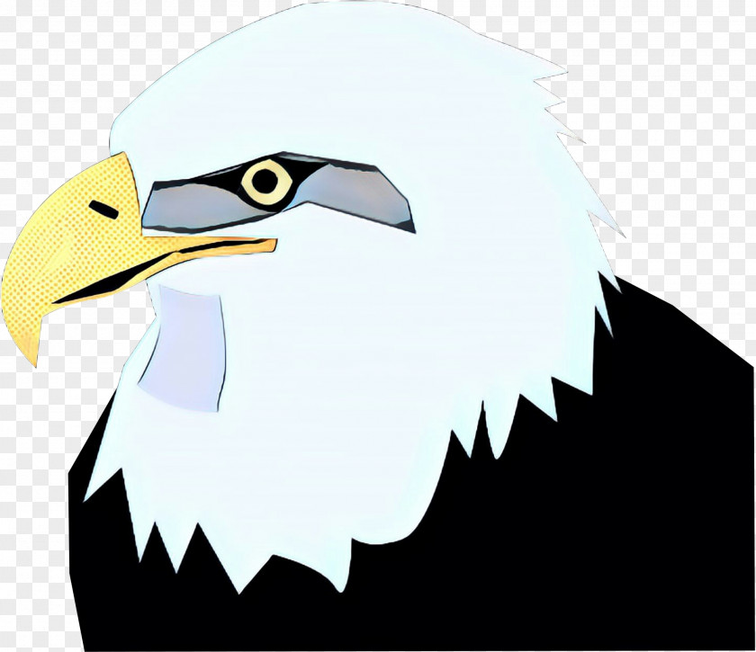 Falconiformes Sea Eagle Bird Bald Beak Of Prey PNG