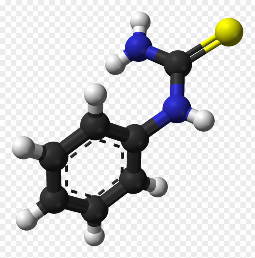 Molecule Phenylthiocarbamide PTC Tasting Genetics Bitterness Taste PNG