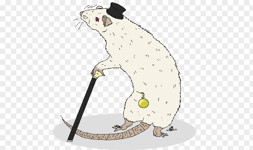 Rat Mouse Whiskers Beaver Hare PNG