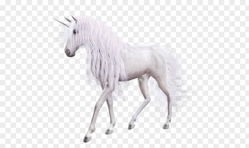 Unicorn Background Horse Clip Art PNG