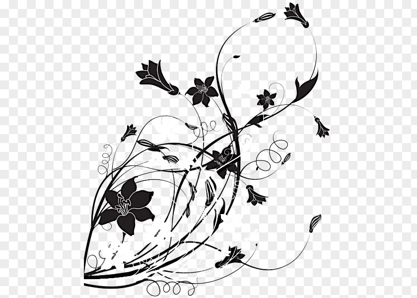 Black-and-white Line Art Coloring Book Plant Style PNG