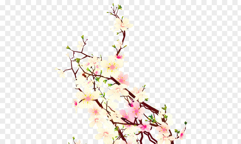 Cherry Blossom Image Cherries PNG