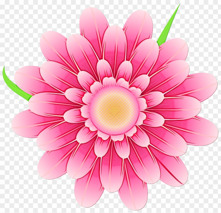 Daisy Family Flowers Background PNG