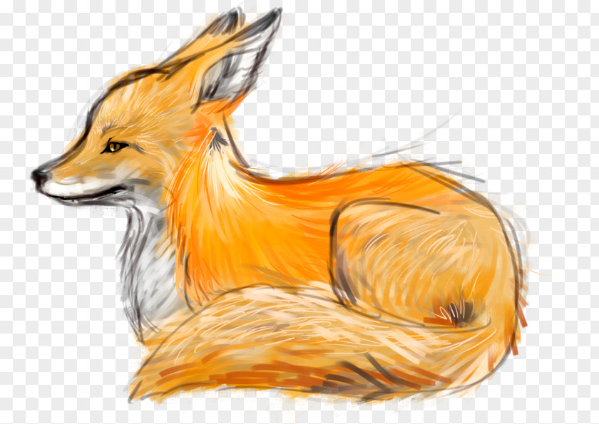 Fennec Fox Drawing Art Sketch PNG