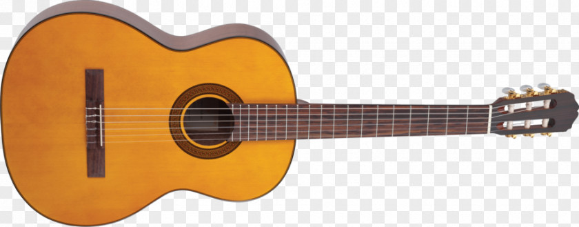 Guitar Classical Takamine Guitars Acoustic Musical Instruments PNG