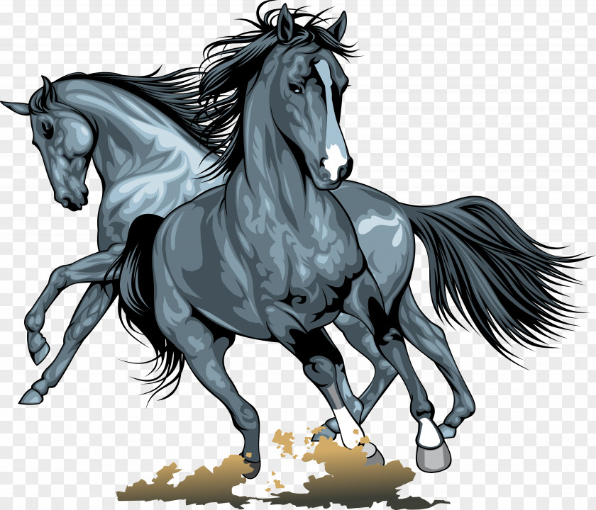 Horse Wild Clip Art PNG