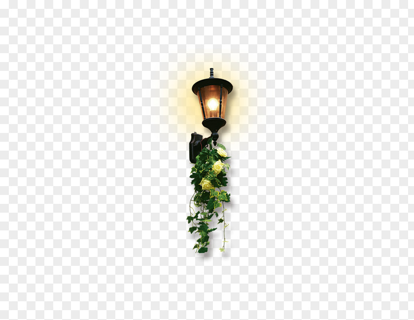 Lights Lighting PNG