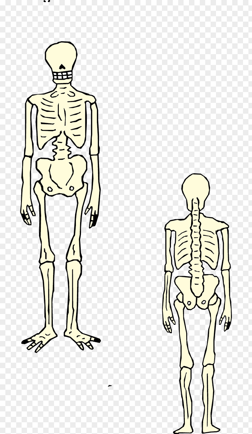 Medical Skeleton Body Health Hand PNG