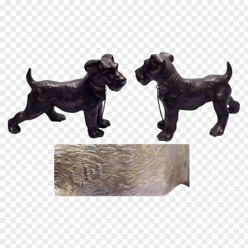 Miniature Schnauzer Dog Breed Crossbreed PNG