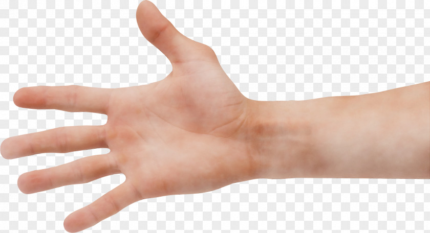 Nail Sign Language Finger Hand Skin Wrist Thumb PNG