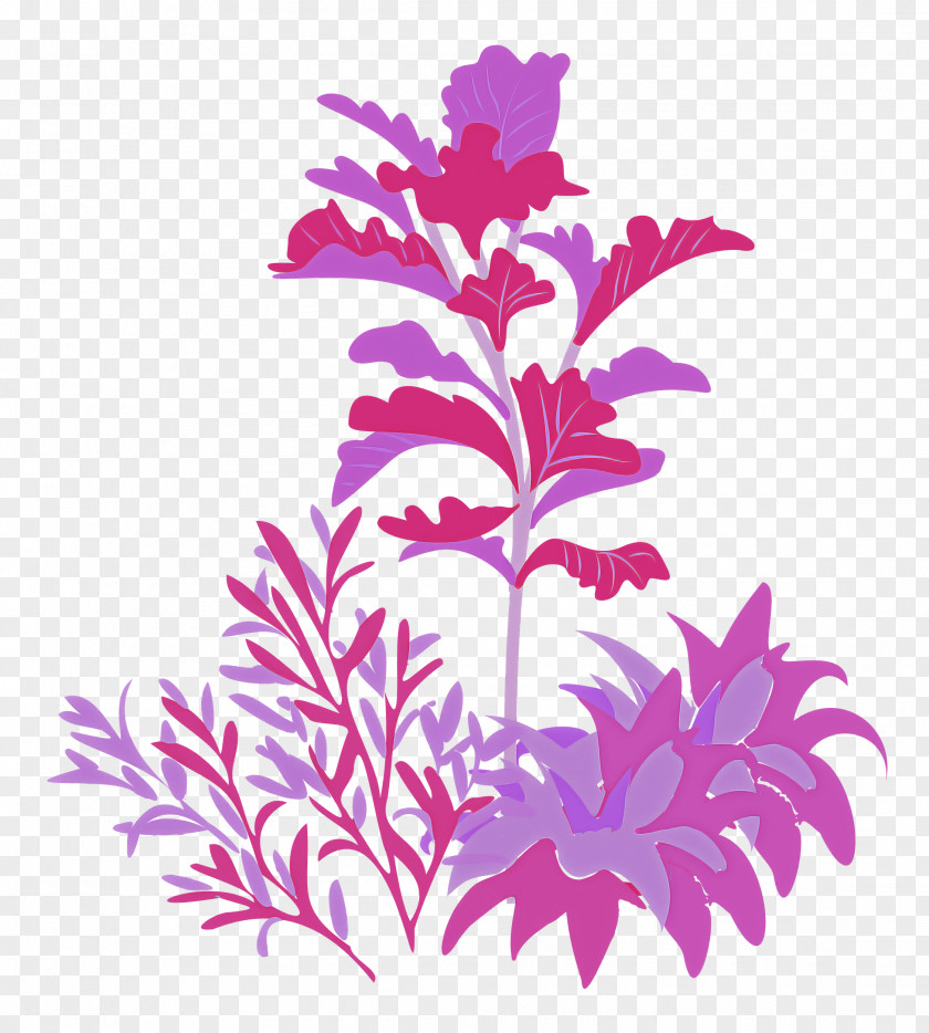 Plant PNG